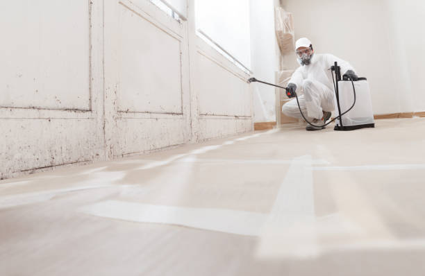 24/7 Emergency Crawl Space Mold Removal experts in Maplewood, NJ